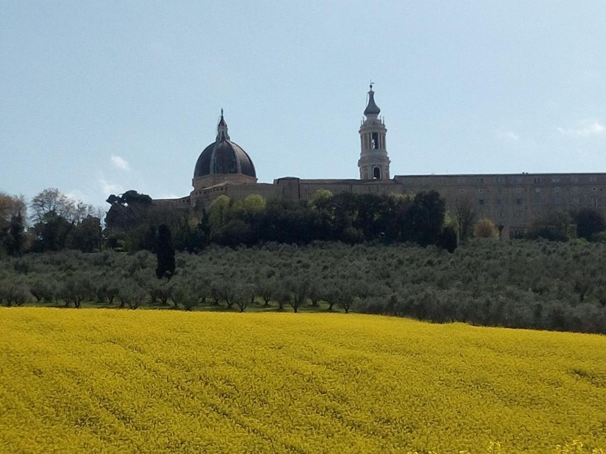 La Dolce Vita Castelfidardo Eksteriør bilde