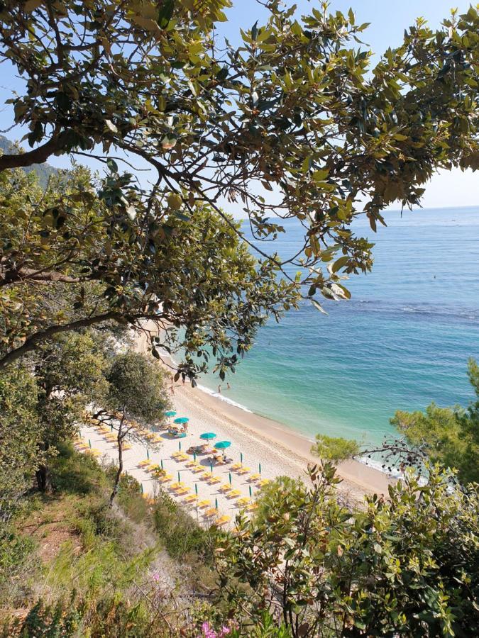 La Dolce Vita Castelfidardo Eksteriør bilde