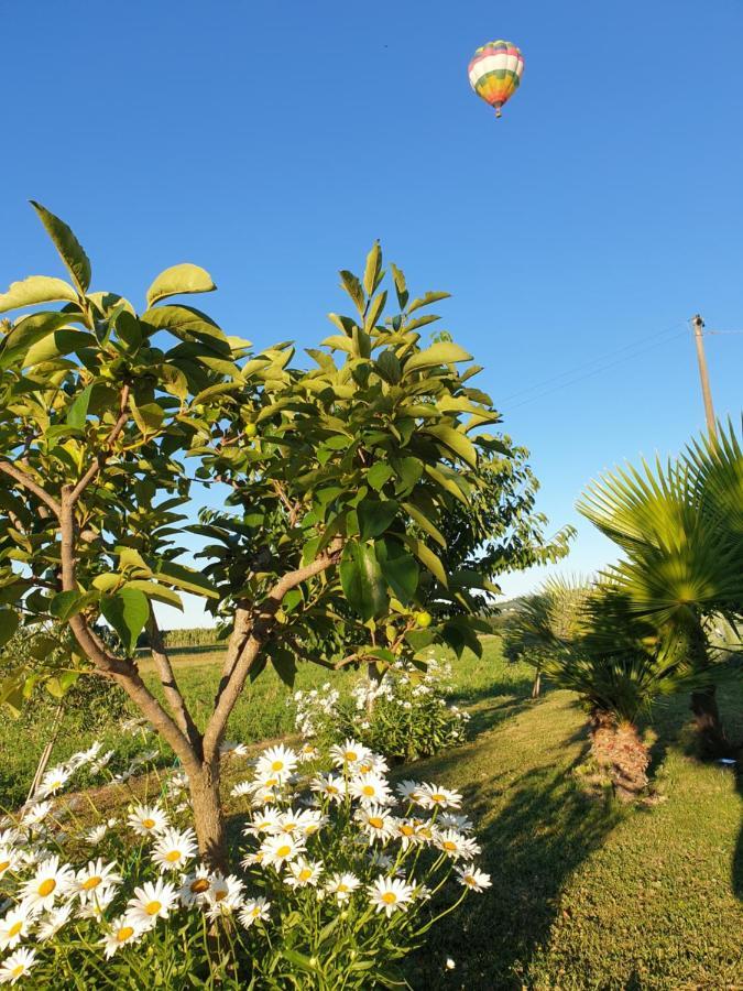 La Dolce Vita Castelfidardo Eksteriør bilde